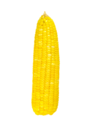 maíz dulce aislado png