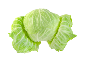 cavolo isolato, verde le foglie modello png