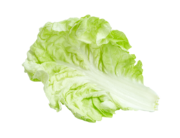 Fresh chinese cabbage leaf isolated,Green leaves pattern png
