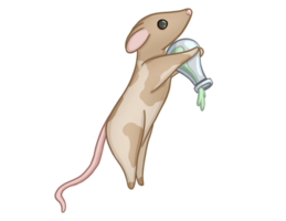 Illustration of beige rat with jar of medicine without background png