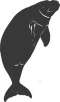 Silhouette dugong animal black color only vector