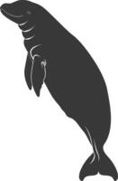 Silhouette dugong animal black color only vector