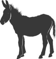 Silhouette donkey animal black color only vector