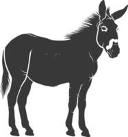 Silhouette donkey animal black color only vector