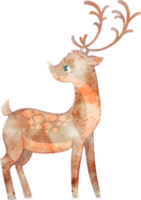 Deer cartoon, animal watercolor illustration png