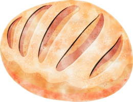 Bread watercolor illustration png