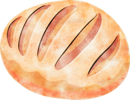 pane acquerello illustrazione png