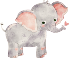 elefante desenho animado, animal aguarela ilustração png