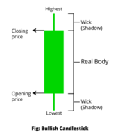 Transparent Bullish Candlestick.Parts of a candlestick png