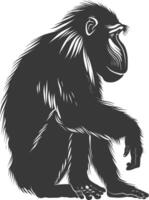 Silhouette Mandrill animal black color only vector