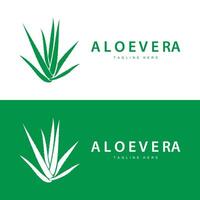 aloe vera logo cosmetic design simple green plant health symbol illustration vector