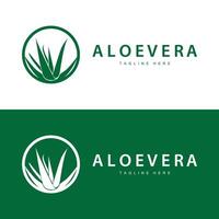 aloe vera logo cosmetic design simple green plant health symbol illustration vector