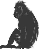 Silhouette Mandrill animal black color only vector