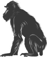 Silhouette Mandrill animal black color only vector