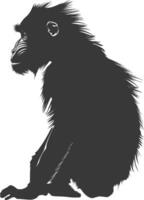 Silhouette Mandrill animal black color only vector