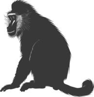 Silhouette Mandrill animal black color only vector