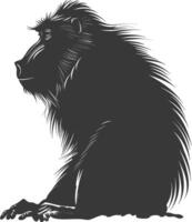 Silhouette Mandrill animal black color only vector