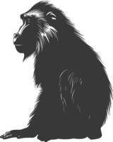 silueta mandril animal negro color solamente vector