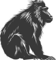 Silhouette Mandrill animal black color only vector