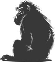 Silhouette Mandrill animal black color only vector
