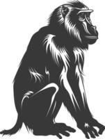 Silhouette Mandrill animal black color only vector