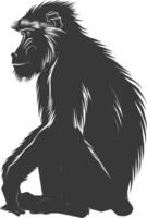 Silhouette Mandrill animal black color only vector
