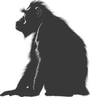 Silhouette Mandrill animal black color only vector