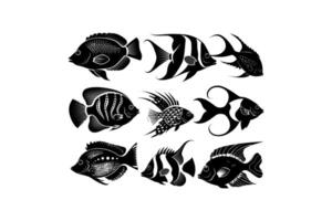 silueta colección de tropical pescado vector