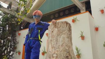 Worker in protective gear using a chainsaw to cut a tree stump in a residential area. video