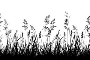 Silhouette of Tall Grasses and Wildflowers vector