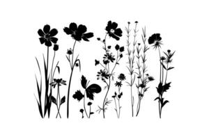 Silhouette of Wildflowers and Grasses vector