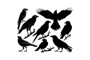 Silhouette Collection of Crows in Various Poses vector