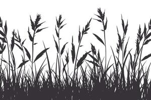 Silhouette of Tall Grasses and Reeds vector