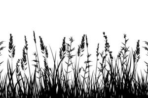 Silhouette of Wild Grasses and Plants vector