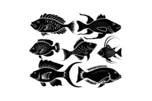 silueta colección de tropical pescado vector