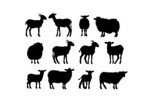 silueta colección de oveja y cabras vector