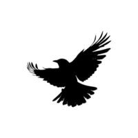 Silhouette of a Flying Bird with Spread Wings vector