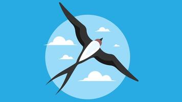 Flying bird in the sky with bird eye illustration vector