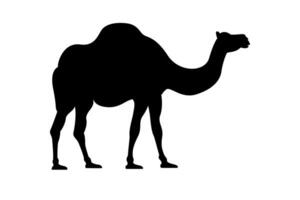 Camel silhouette illustration vector