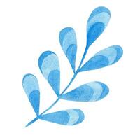 Blue twig with leaves. Watercolor illustration, hand drawn. vector