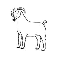 goat line art illustration. Eid al-Adha Sacrifice celebration festival vector