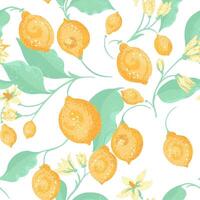 Summer seamless pattern with colorful yellow lemons on branch, green leaves on a white background. hand drawing. Abstract artistic blooming fruits illustration for printing. Ornament repeated vector