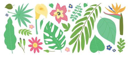 Colorful tropical leaves and flowers illustration, including monstera, palm, and hibiscus elements. vector