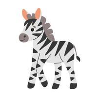 Cute baby zebra illustration image. Use it for happy birthday invitation cards, children's book covers, banner, poster. Flat illustration. vector