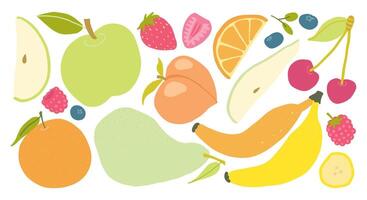 Colorful digital illustration of various fresh fruits including apple, banana, cherry, and orange. vector