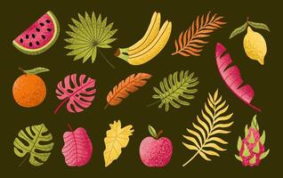 Set of hand drawn tropical leaves and fruits. Palm, banana leaf, monstera, orange, lemon, apple, dragon fruit. Exotic plants. Summer design elements. Botanical illustration. vector