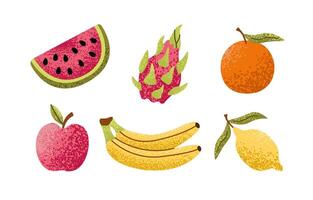 Set of colorful ripe tropical fruits with textures. Citrus orange and lemon, apple, dragon fruit, watermelon, banana. Flat illustration. vector