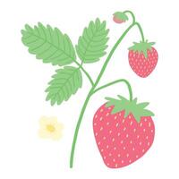 Cute illustration of ripe strawberries with green leaves on a white background, vibrant and fresh. vector