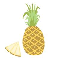 Digital illustration of a whole pineapple and slice on a white background, vibrant and tropical. vector