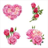 Pink roses love heart compositions. Ped flower buds arrangements set. Hand drawn watercolor illustration isolated on white background. Floral Valentine's cards, birthday or wedding invitations, prints vector